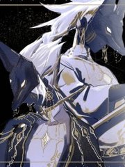 打扑克视频高清